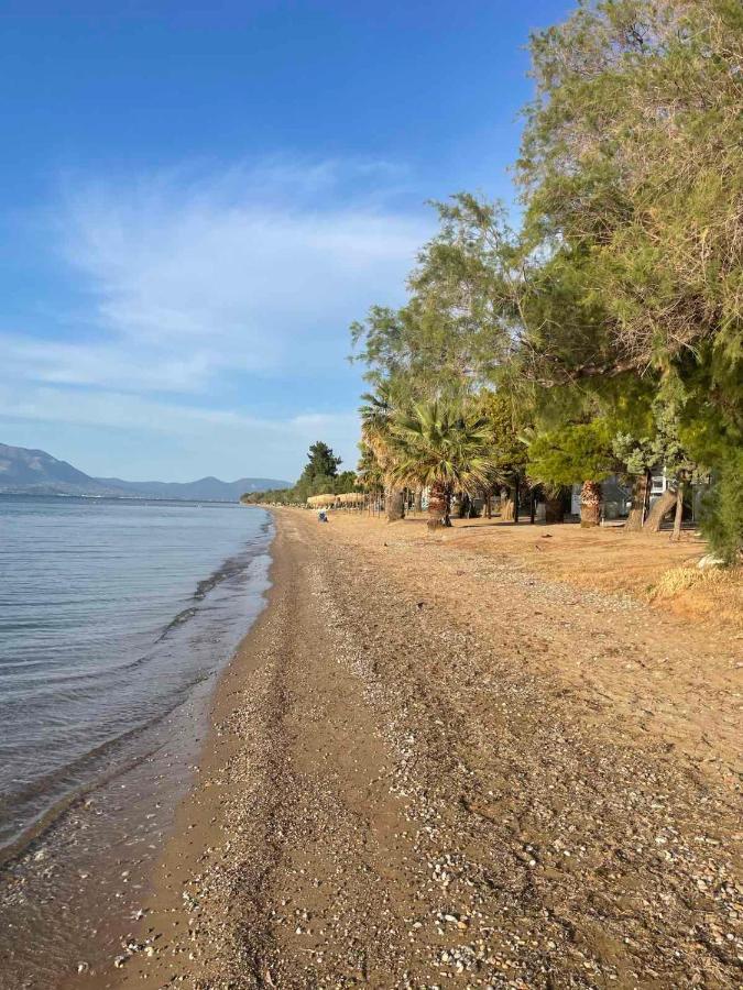 Μοντέρνα Εξοχική Μονοκατοικία Με Ιδιωτική Πισίνα! Khalkoutsion Экстерьер фото
